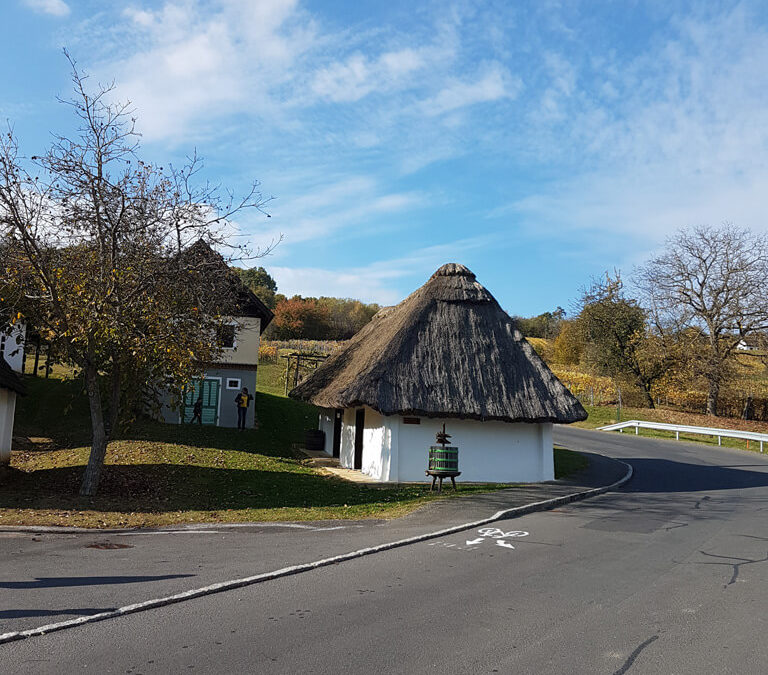 XXIII. Kongress der Wine Educators 2018