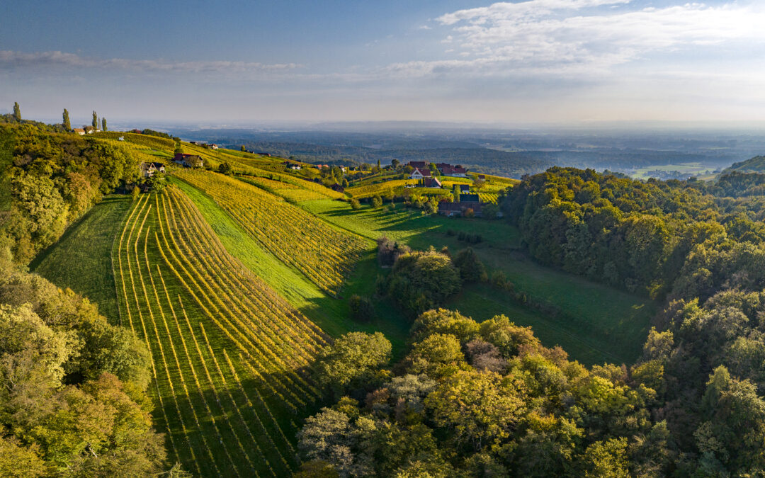 28. Kongress der Wine Educators 2024 Steiermark