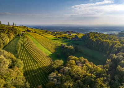 28. Kongress der Wine Educators 2024 Steiermark