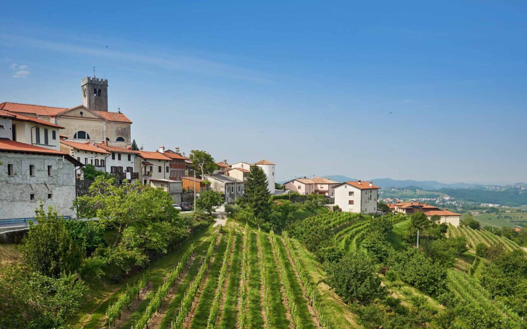 Exklusive 3-teilige Wein & Kulinarik Studienreise nach Slowenien (2026-2028)