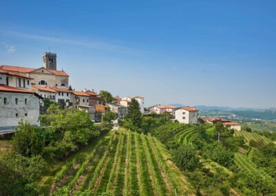 Exklusive 3-teilige Wein & Kulinarik Studienreise nach Slowenien (2026-2028)