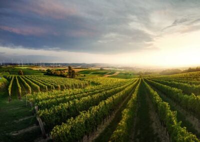 Brush-up 2026 Carnuntum