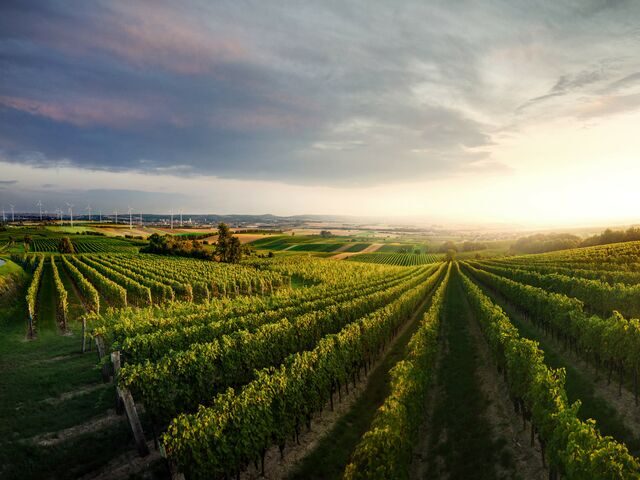 Brush-up 2026 Carnuntum